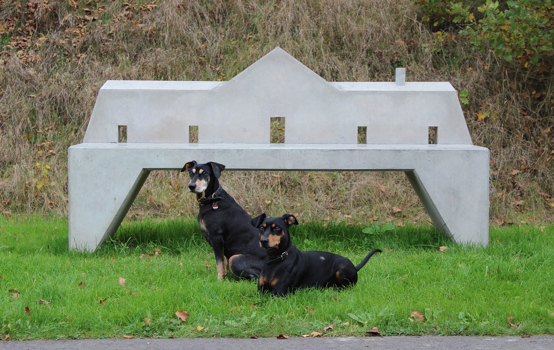 Kunsttour Betzin-Brunne - Die Kunstbank zum ausruhen und zwei Hunde sitzen davor